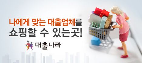 나에게 맞는 대출업체를 쇼핑할 수 있는곳! 대출나라