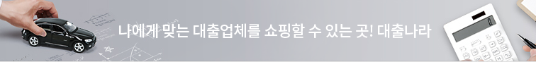 나에게 맞는 대출업체를 쇼핑할 수 있는 곳! 대출나라